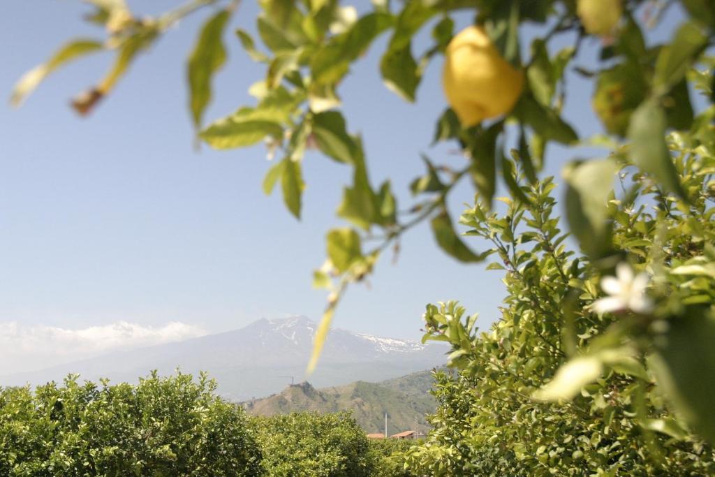 B&B Sole Траппителло Экстерьер фото